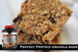 fruity granola bars summary